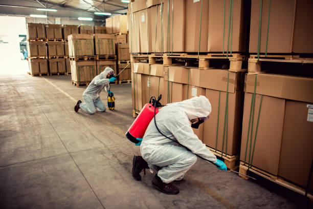 Best Emergency Pest Control  in Vine Hill, CA