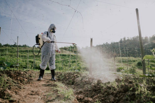 Best Pest Removal Services  in Vine Hill, CA