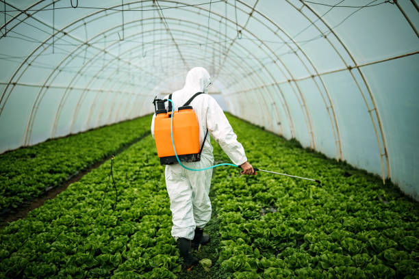 Best Best Pest Control Near Me  in Vine Hill, CA