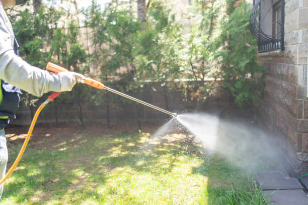 Trusted Vine Hill, CA Pest Control Experts