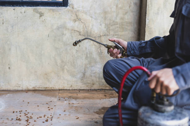 Best Pest Control Near Me in Vine Hill, CA